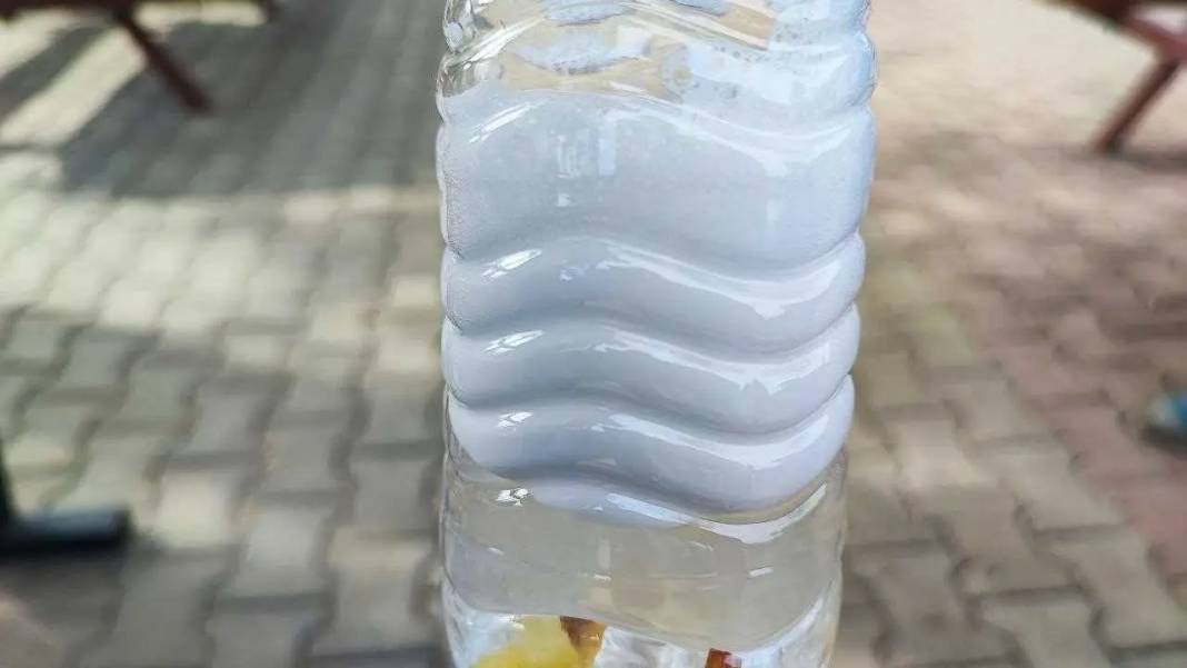 Türkiye’nin İlk Sabun Cevizi Endüstrisi Adana’da Kuruluyor! 4